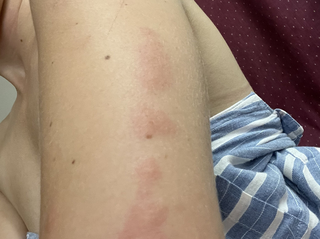 Namaste Palace Hotel主图