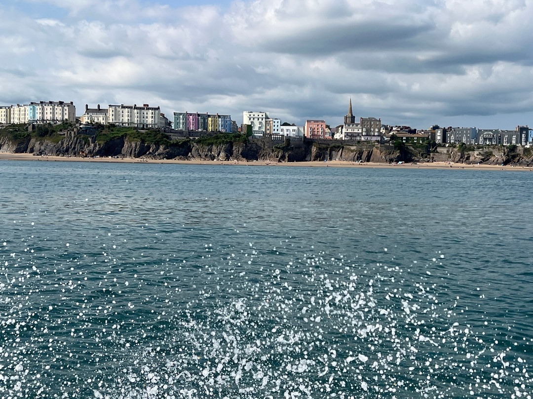 Saundersfoot Sea Safari-桑德斯富特必去景点