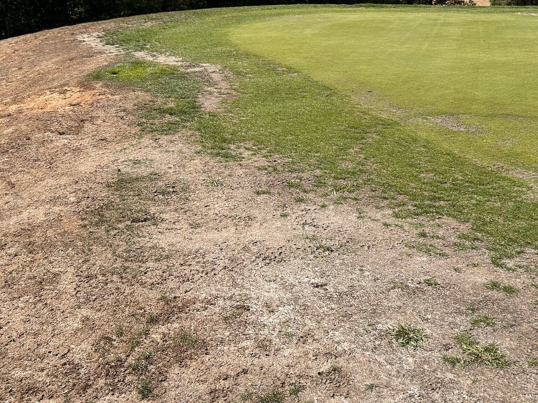 Souillac Golf Course-Lachapelle-Auzac必去景点