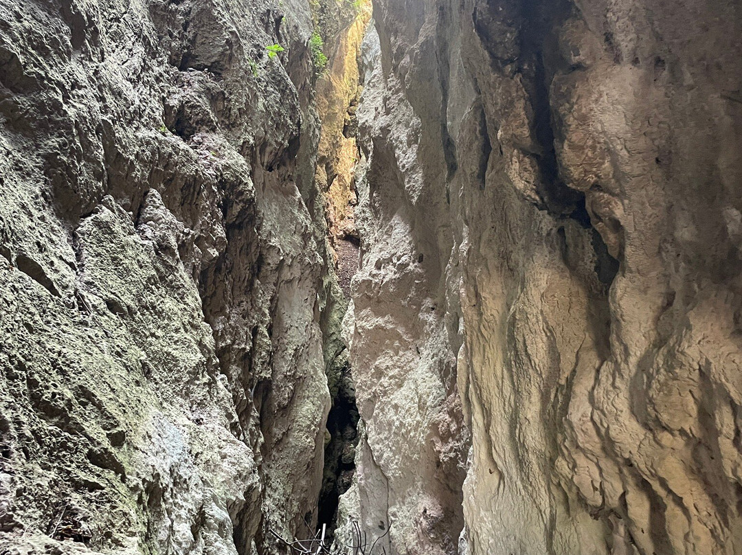 Parco Forra Del Tinazzo-Castro必去景点