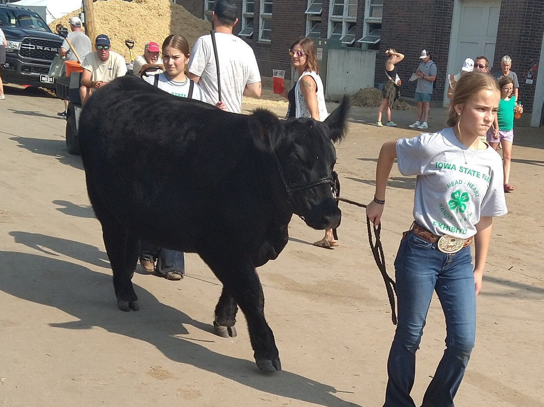 Iowa State Fairgrounds-得梅因必去景点
