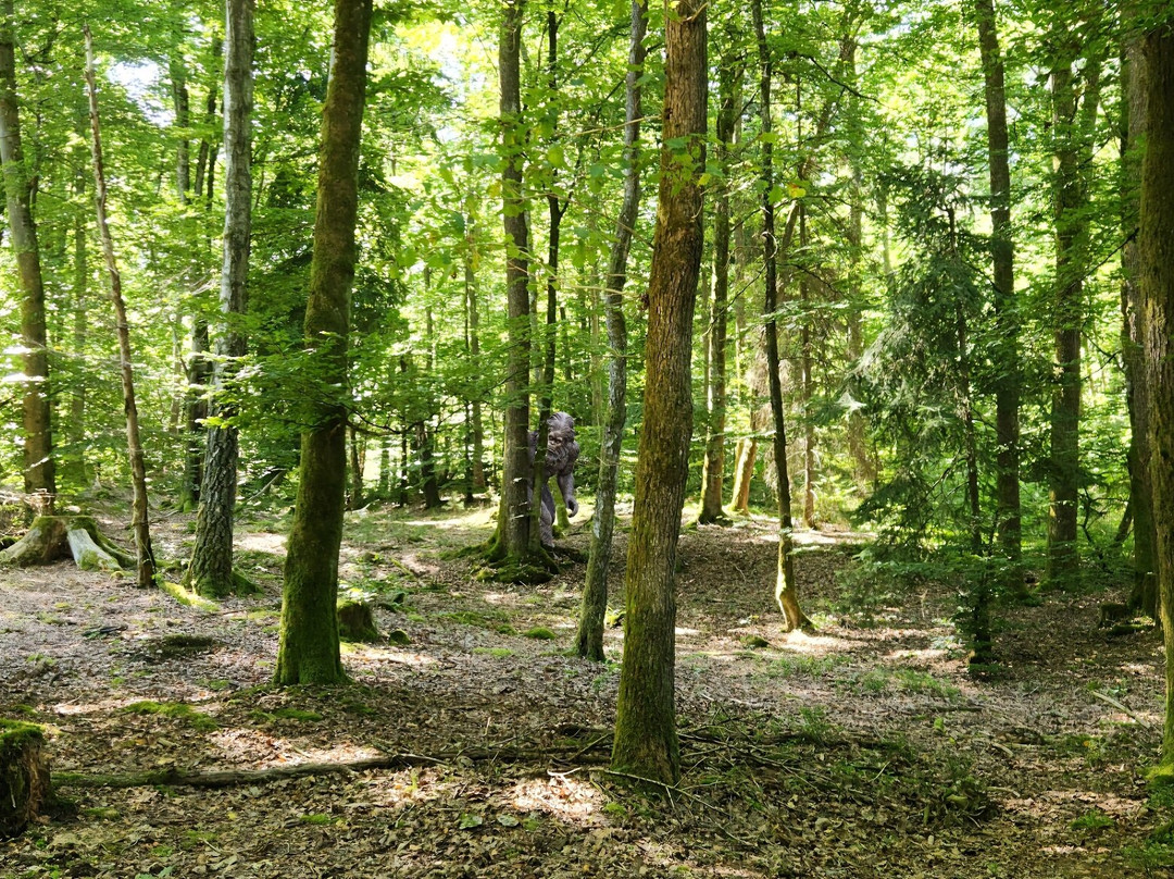 Altschlossfelsen-Eppenbrunn必去景点