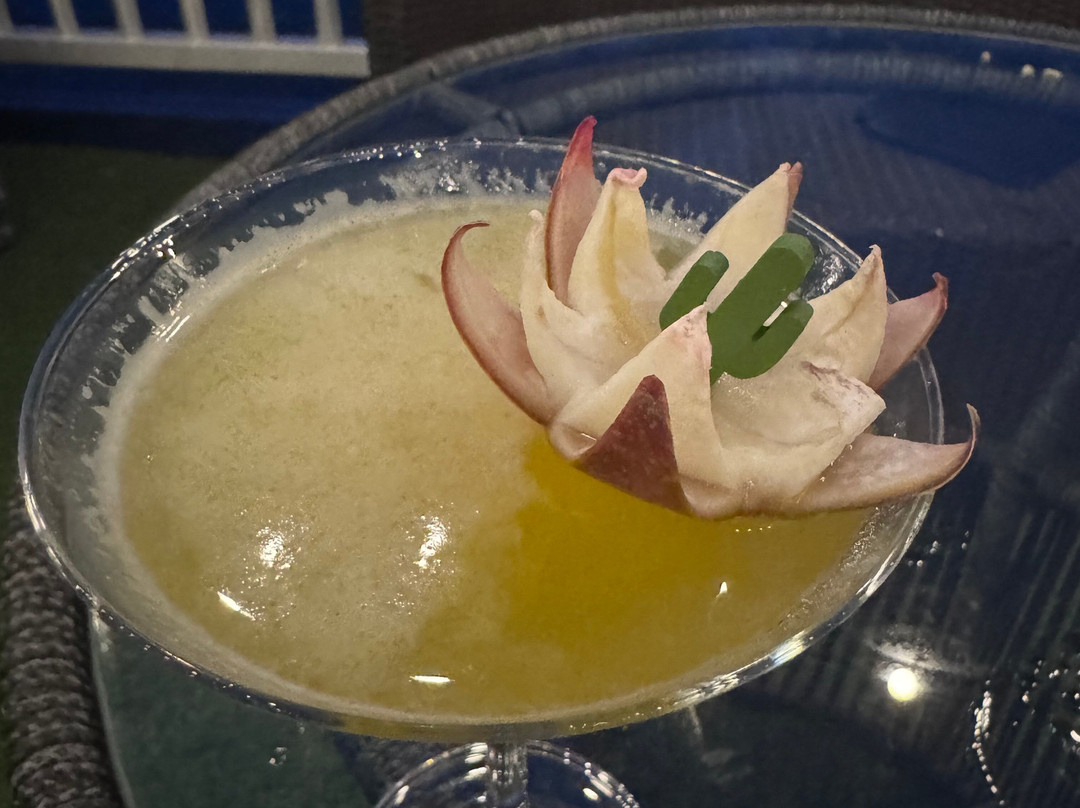 Lotus Elegnace Cruises-团洲岛必去景点