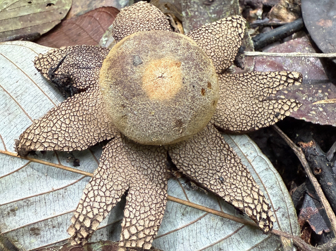 Wisma Cinta Alam主图