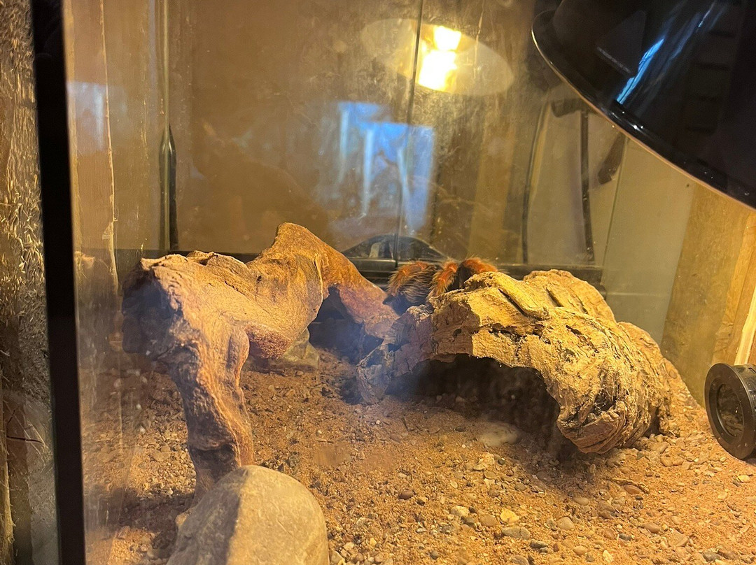 Fife Zoo-库珀必去景点