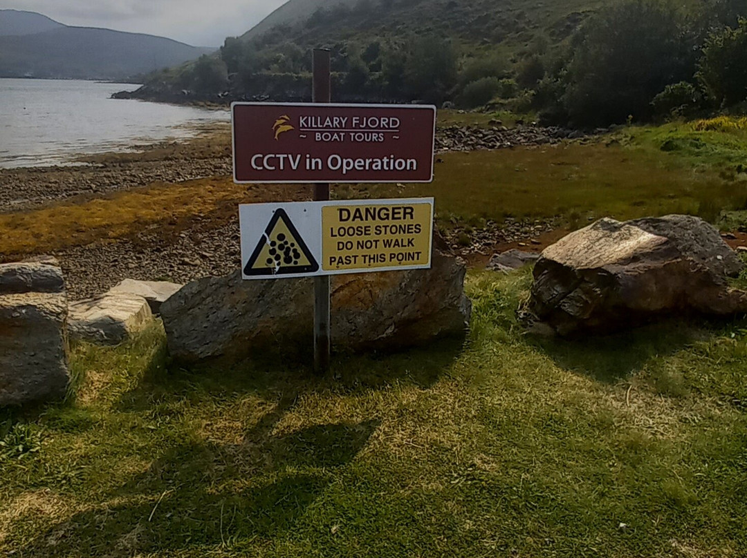 Killary Fjord Boat Tours-Leenane必去景点