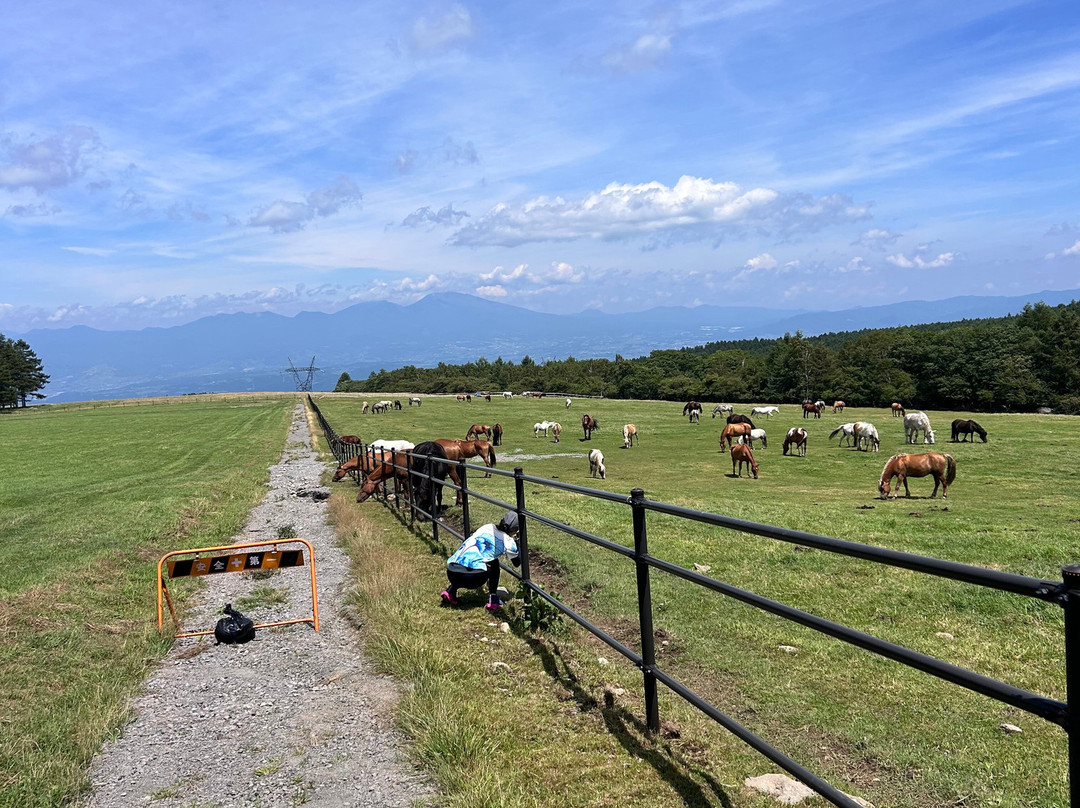 Ikenotaira Shirakaba Kogen Hotel主图