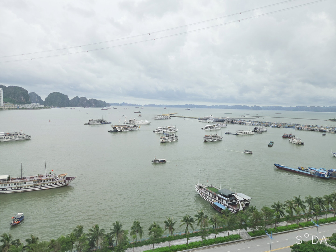 Muong Thanh Grand Bai Chay Hotel主图