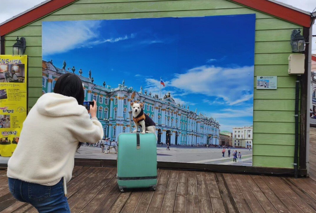 The Oh My Gallery-泰安郡必去景点