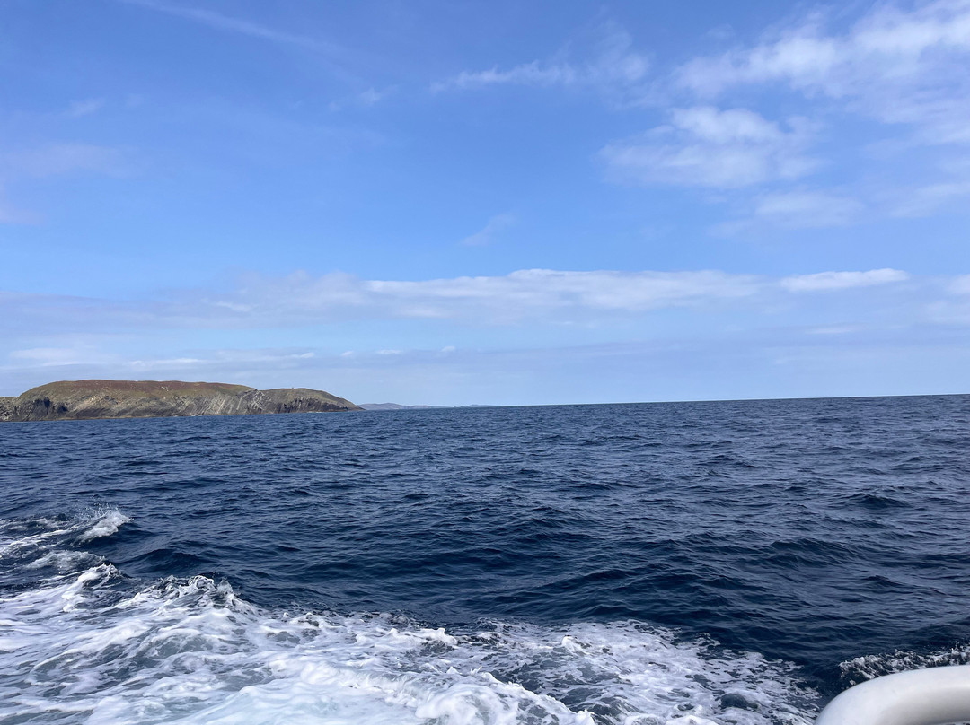 Cape Clear Island - Cape Clear Ferries-Baltimore必去景点