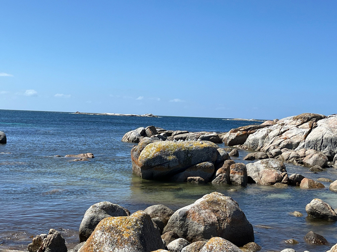 The Gardens-Binalong Bay必去景点