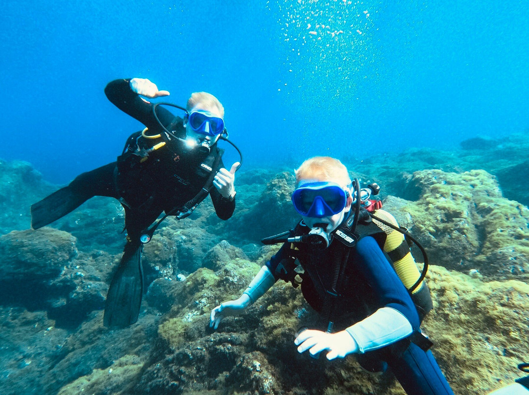 Buceo Isla Bonita-La Palma必去景点