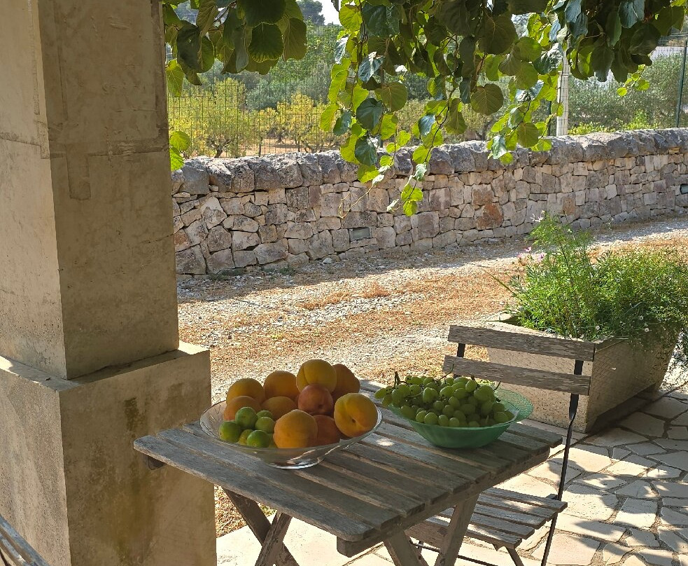 特鲁利奥托雷酒店主图