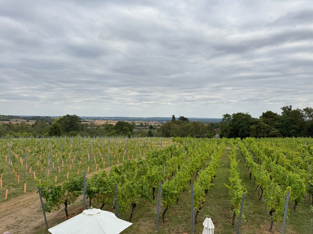 Welcombe Hills Vineyard-Snitterfield必去景点