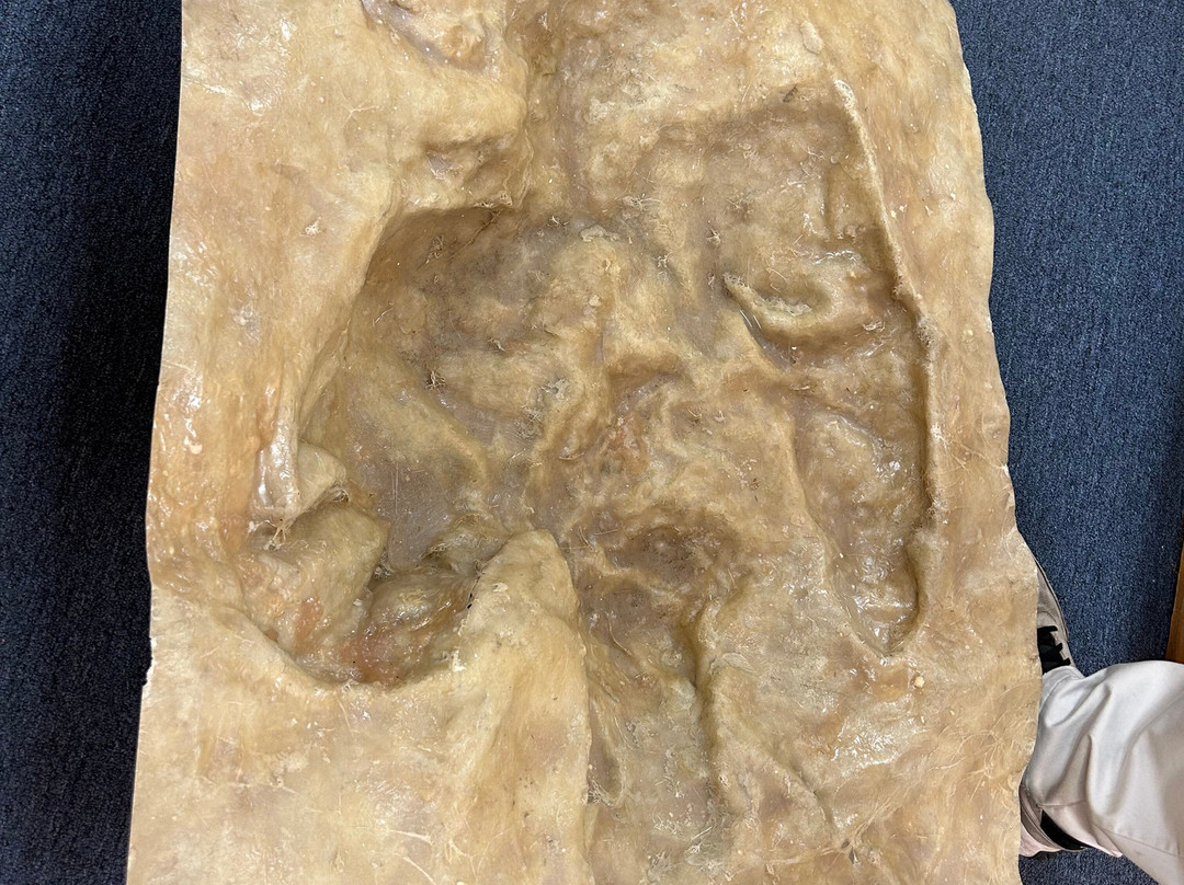 Hicksville Gregory Museum-Hicksville必去景点