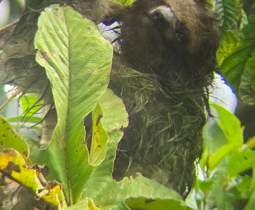 Spring Paradise Bijagua Tours-Bijagua de Upala必去景点