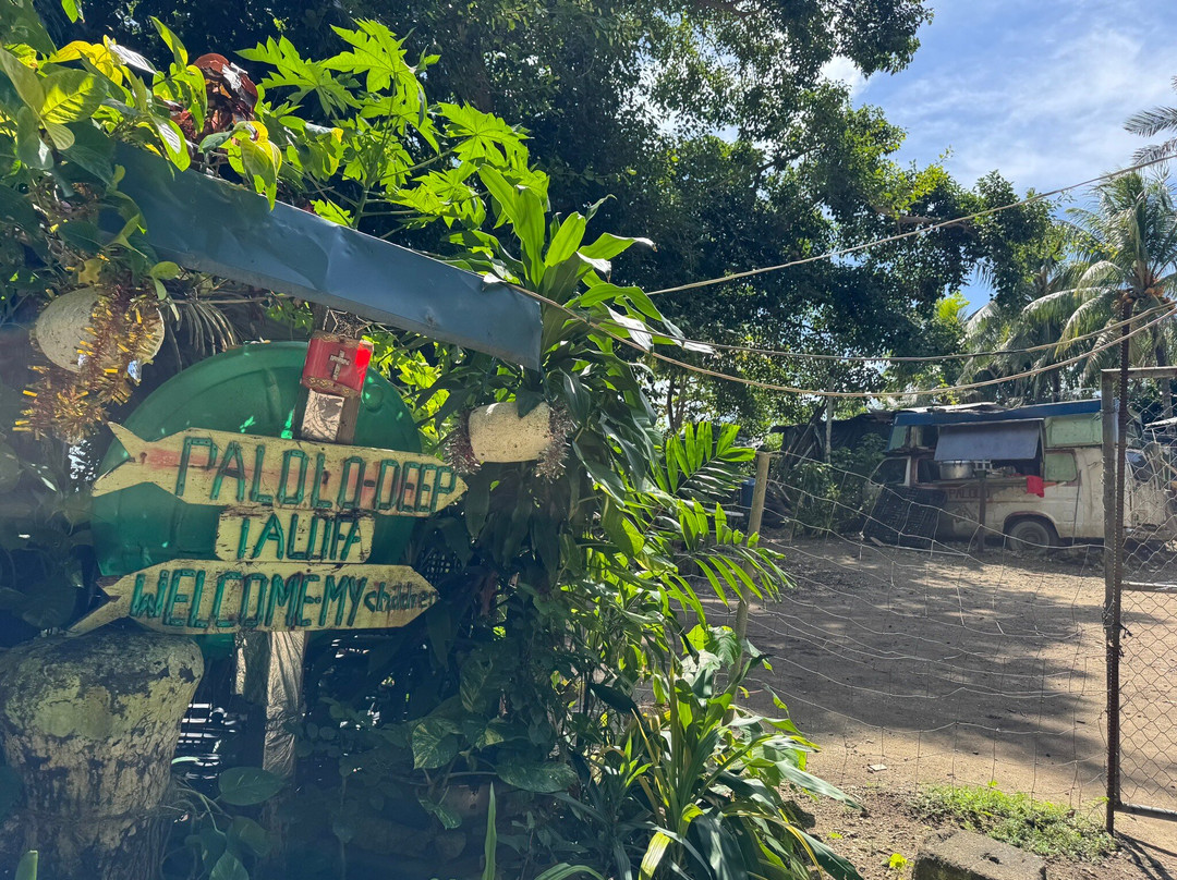 Palolo Deep Marine Reserve-阿皮亚必去景点