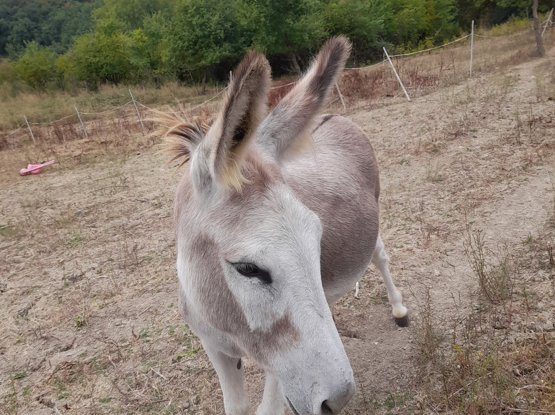 Les Terrasses De Bessou主图