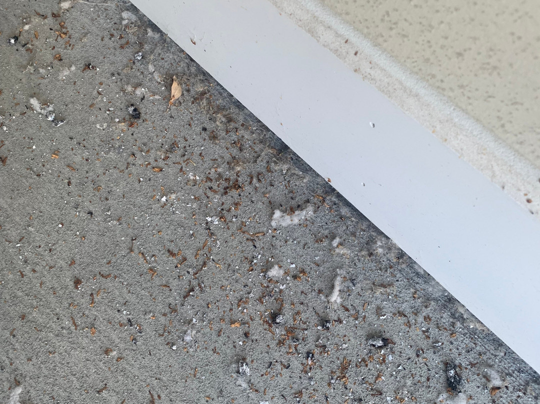 Homewood Suites by Hilton Saratoga Springs主图