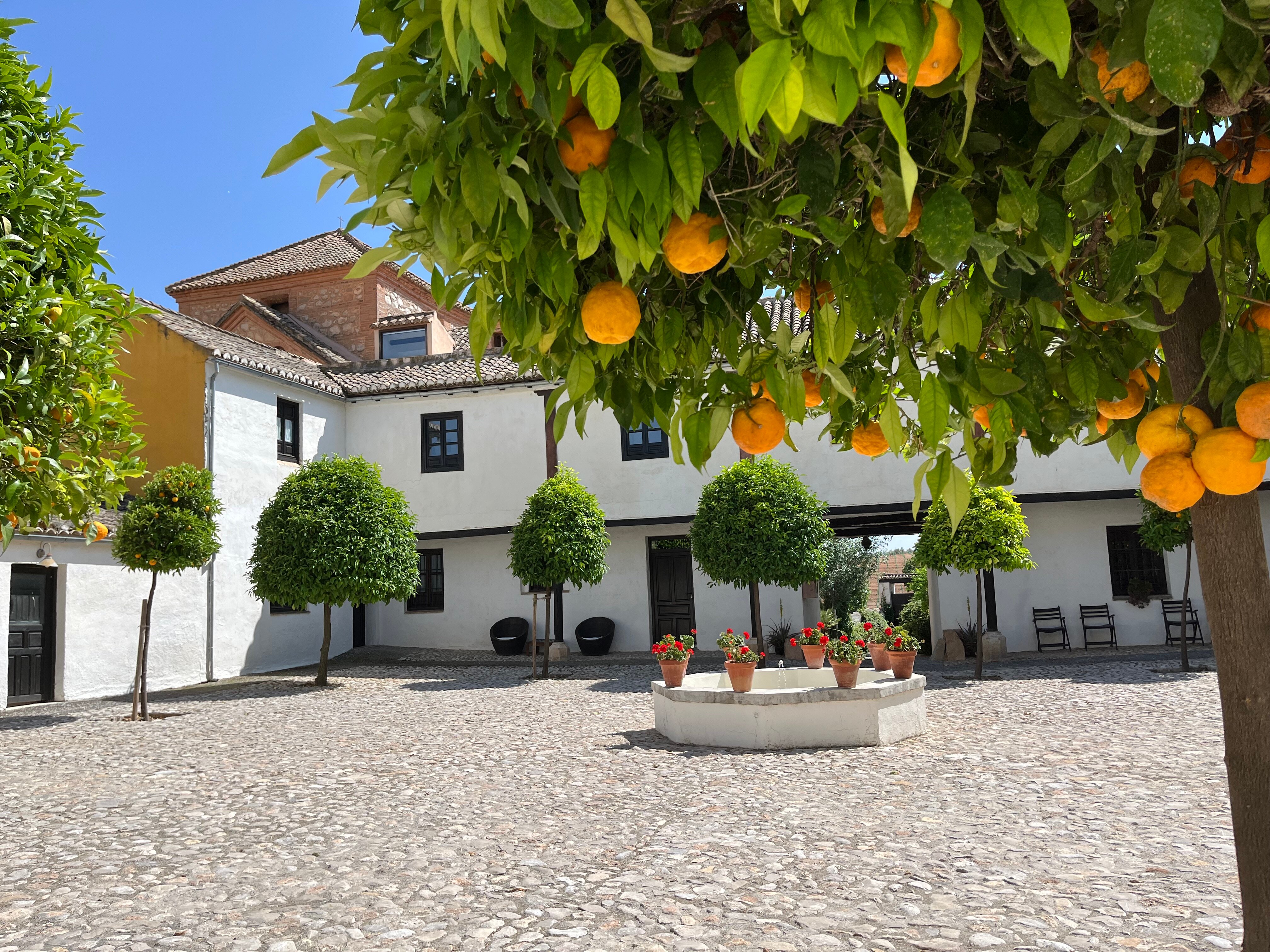 Hotel Cortijo Del Marques-官方