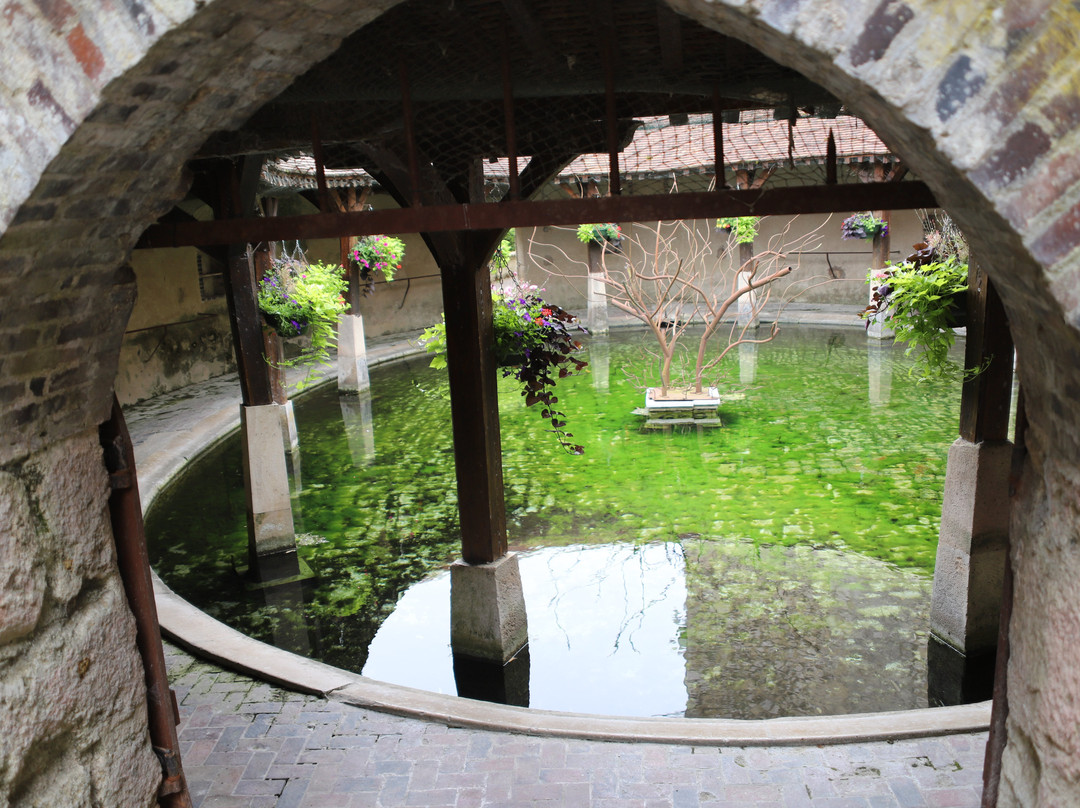 Le Grand Lavoir-Brienon-sur-Armancon必去景点