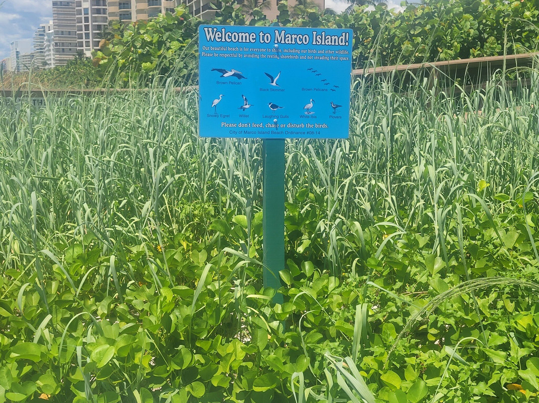 South Marco Beach-马可岛必去景点
