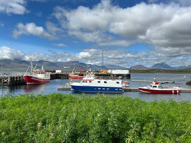 Tinna Adventure-Breiddalsvik必去景点