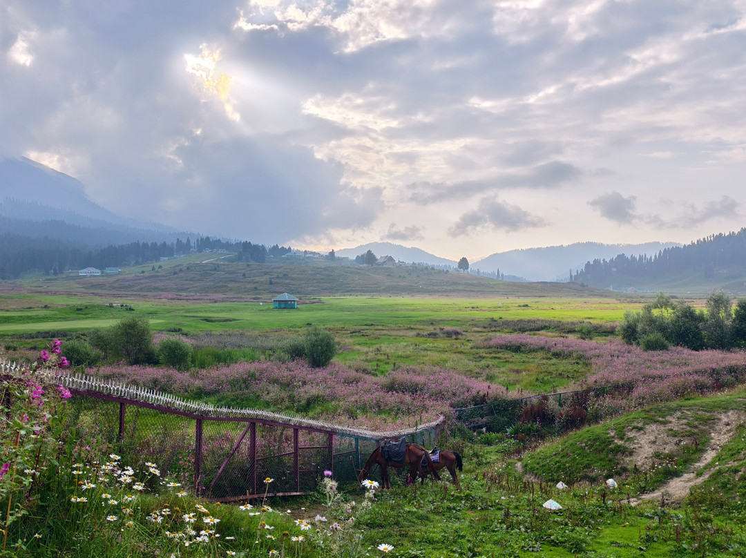 Himalayan walk Adventure-帕哈甘必去景点