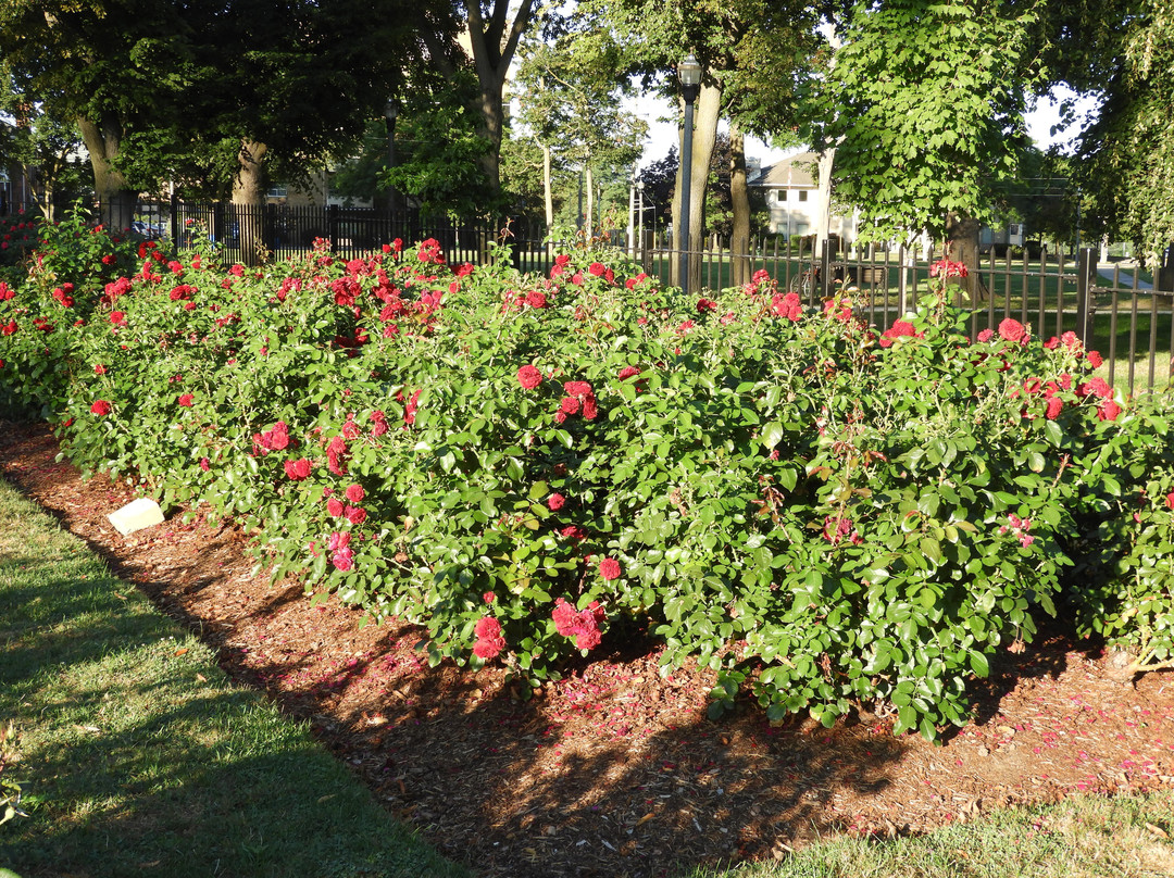 Montebello Park-圣凯瑟琳斯必去景点