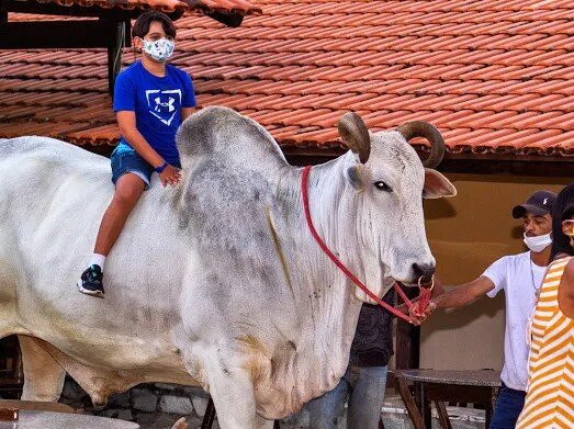 Fazenda Hotel Mestre d'Armas主图