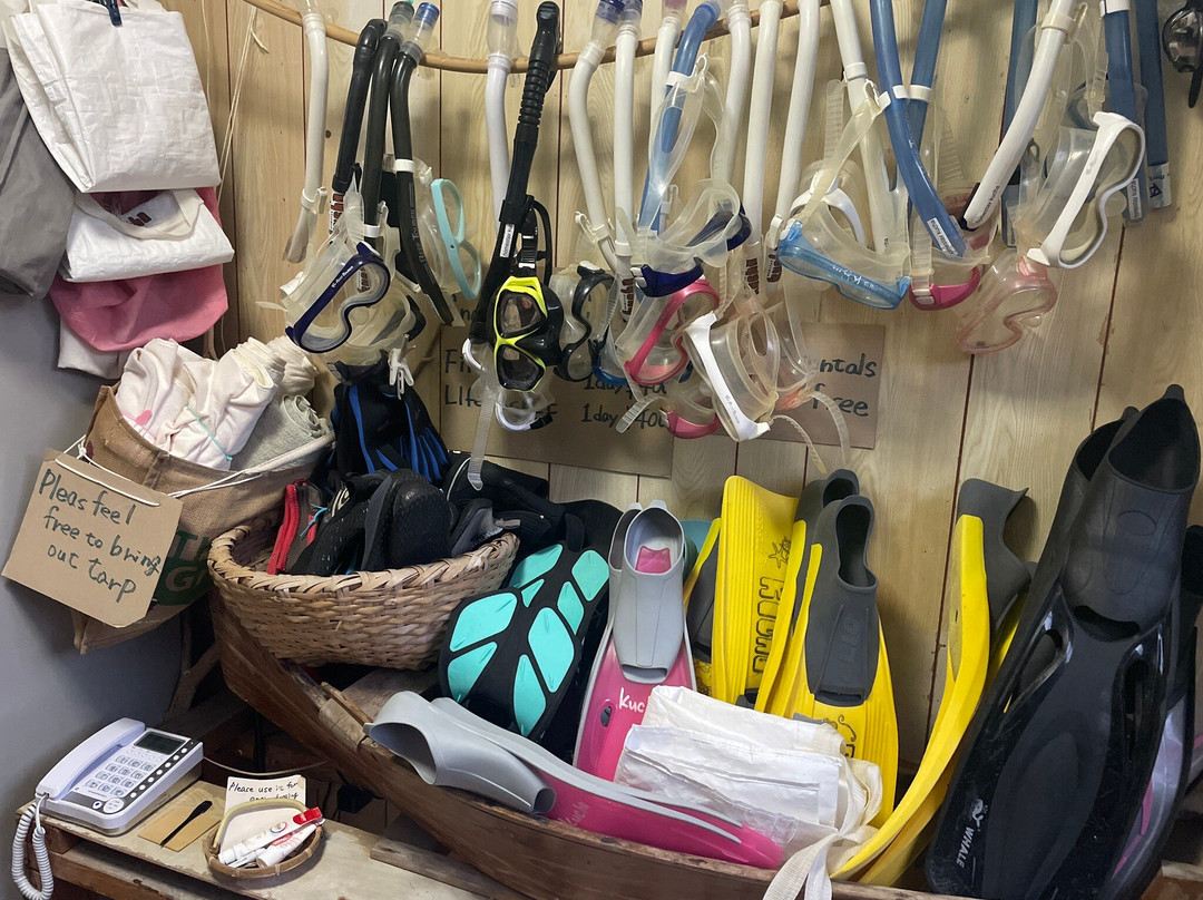 Homestay Kucha主图