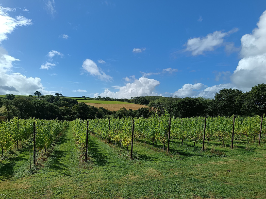 Velfrey Vineyard-Lampeter Velfrey必去景点