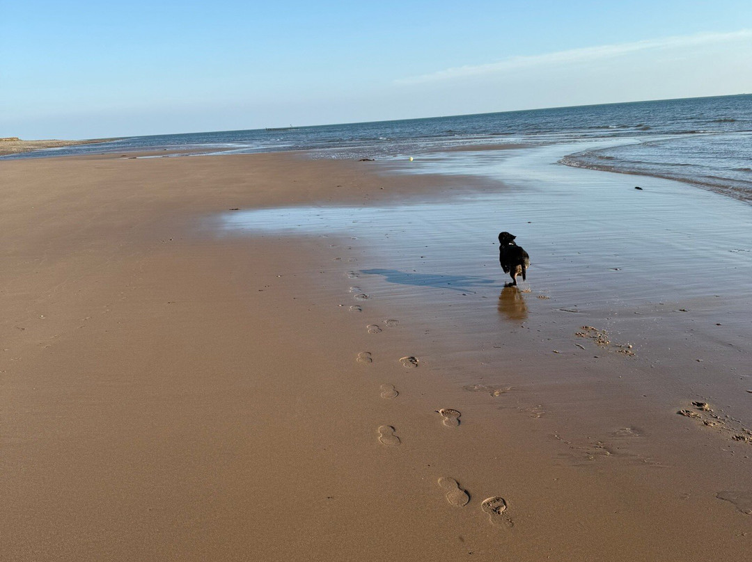 Walney Island-Walney必去景点