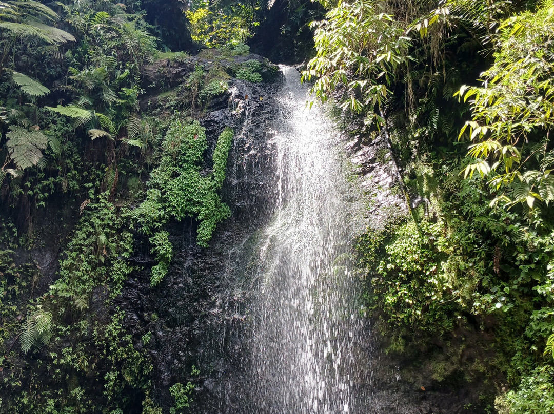 Le SDG - Cascade-Fonds Saint Denis必去景点