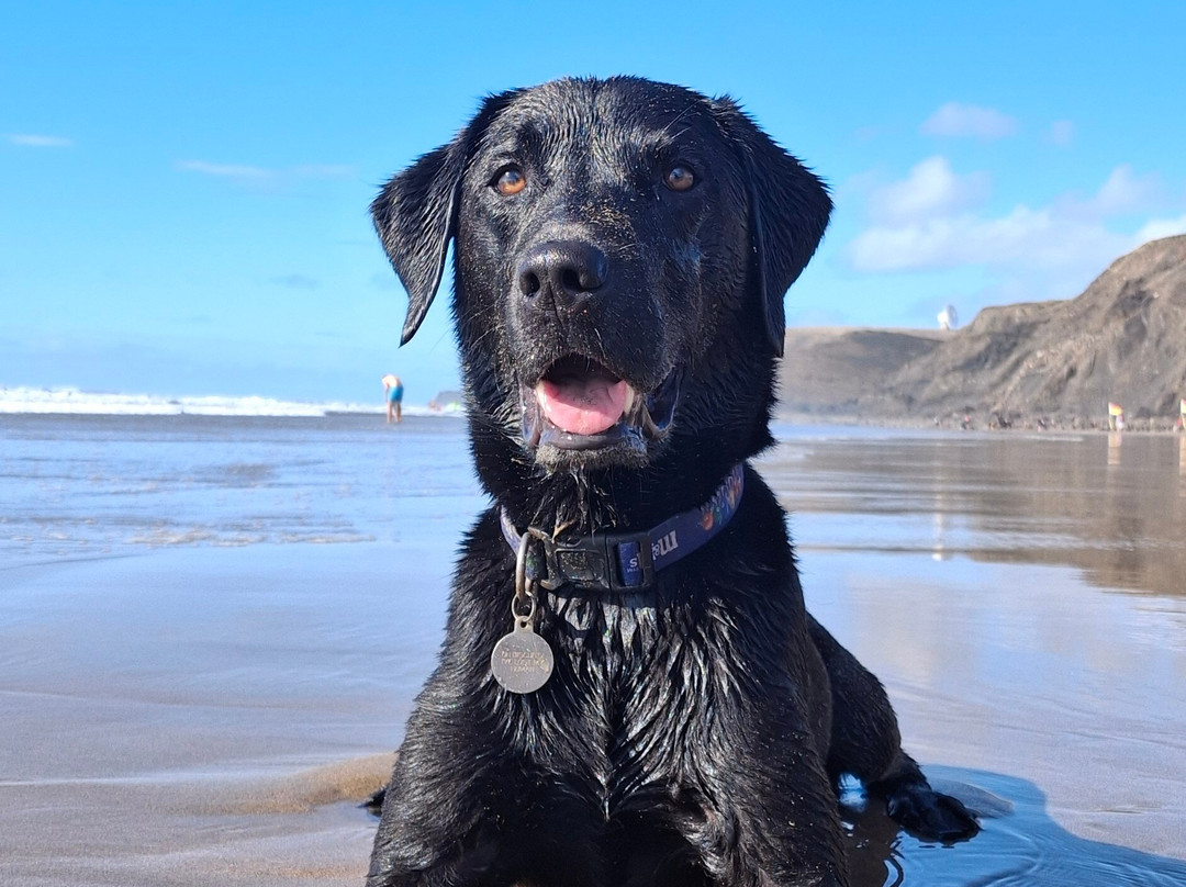 Sandy Mouth Beach-Stibb必去景点