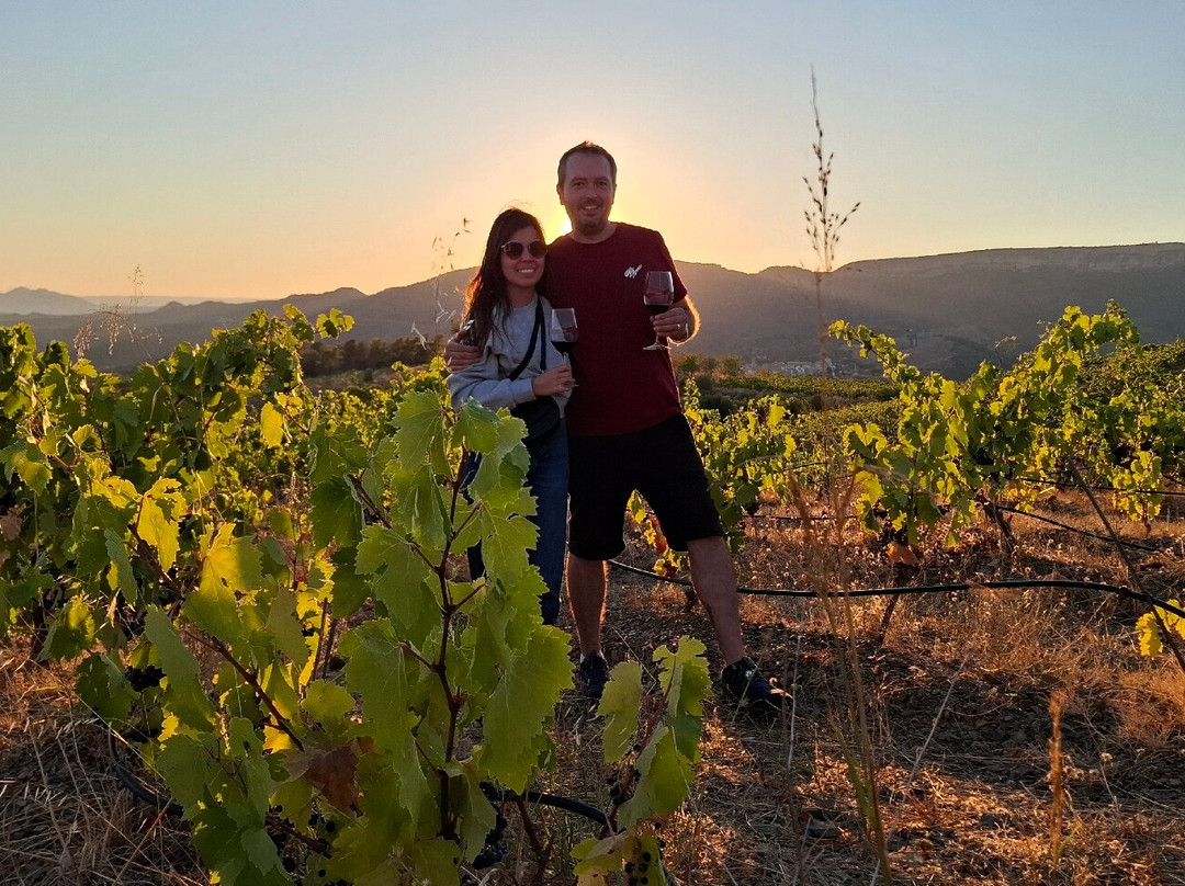 Celler Devinssi-Gratallops必去景点