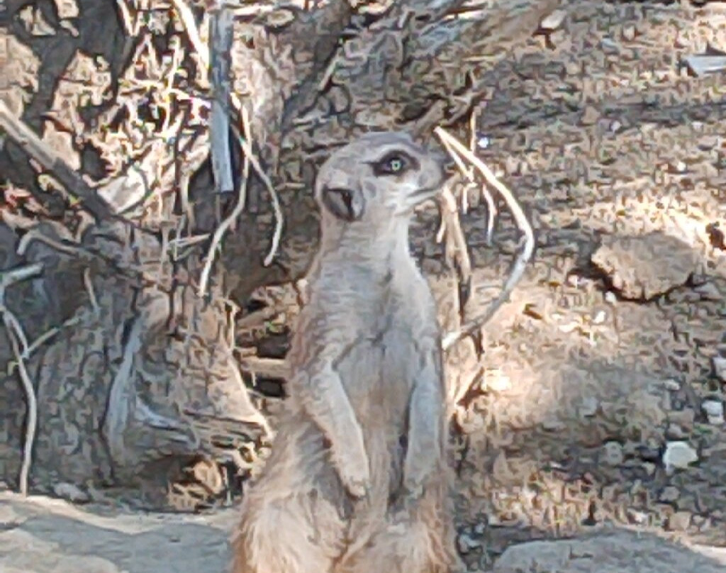 Zoo d'Abruzzo-Rocca San Giovanni必去景点