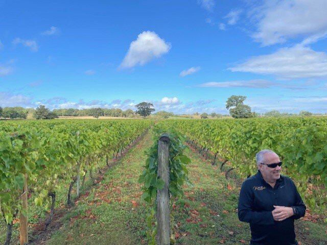 Kerry Vale Vineyard-Church Stoke必去景点