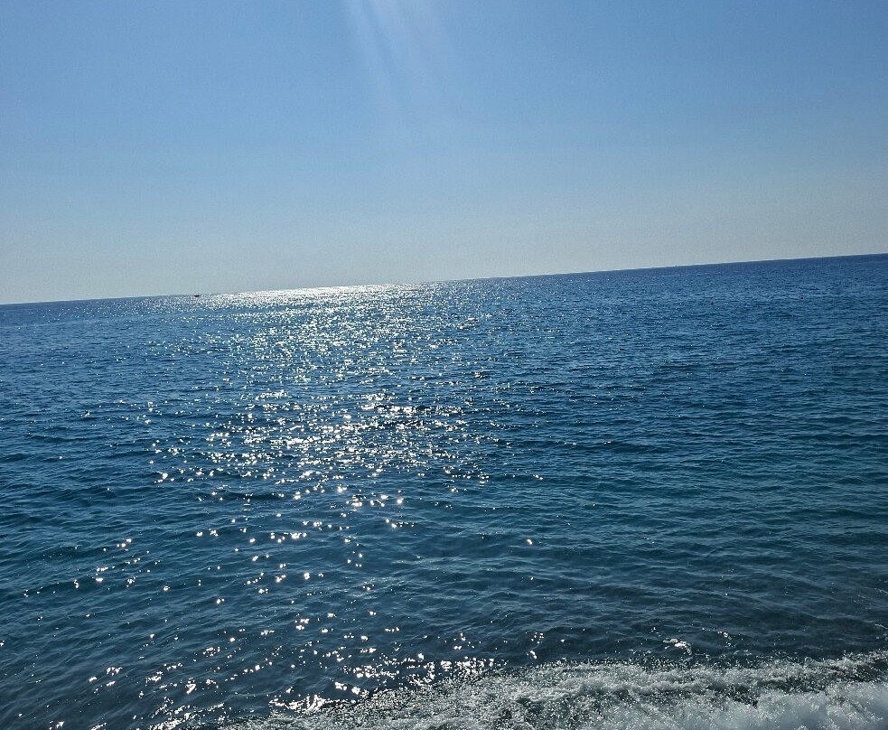 海洋皇宫酒店主图