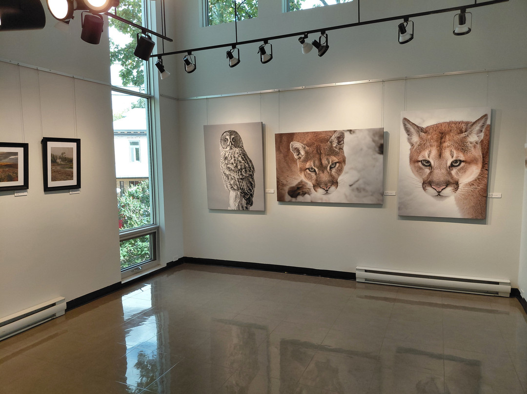 Carrefour Culturel Paul-Mederic-Baie-St-Paul必去景点