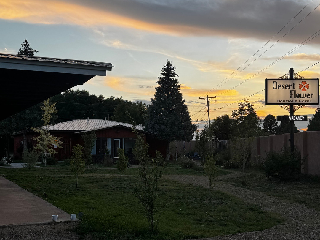 Desert Flower Boutique Hotel主图