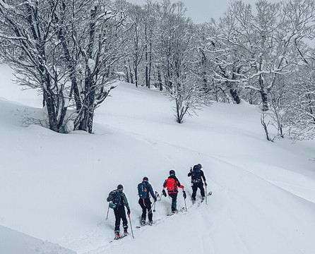 Stay Wild Travel Factory-米兰必去景点