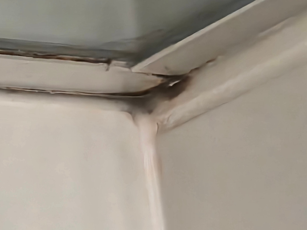 Tru by Hilton Staunton主图