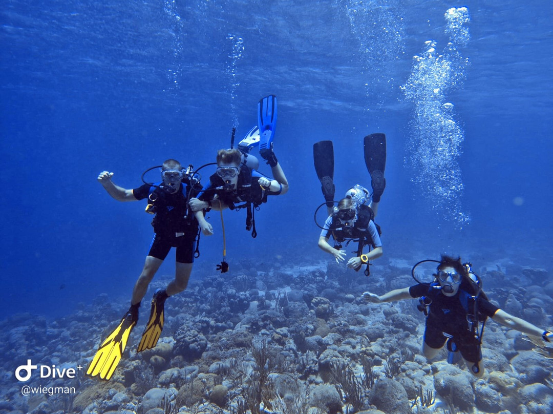 The Diveshop Curacao-威廉斯塔德必去景点