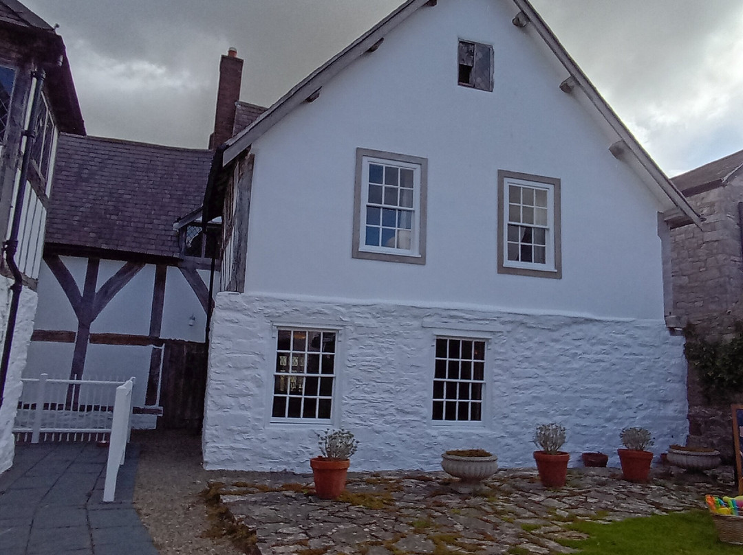 Nantclwyd Y Dre Historic House And Gardens-里辛必去景点