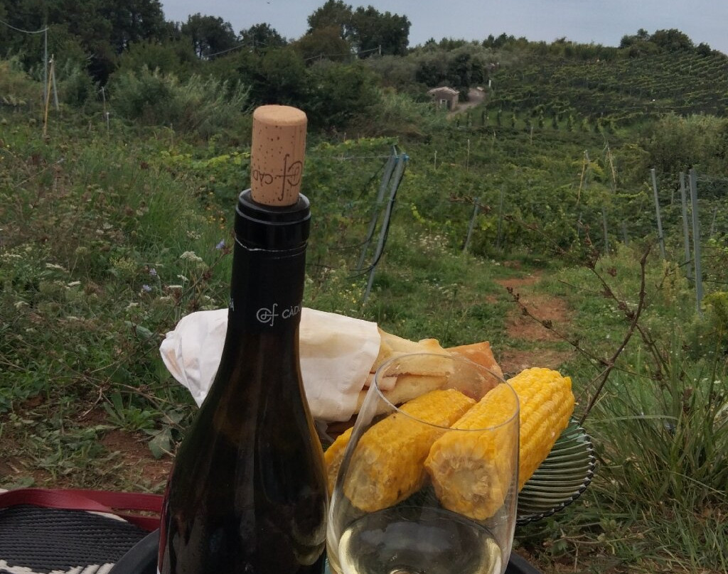 Cà Du Ferrà Wine & Tasting-Bonassola必去景点