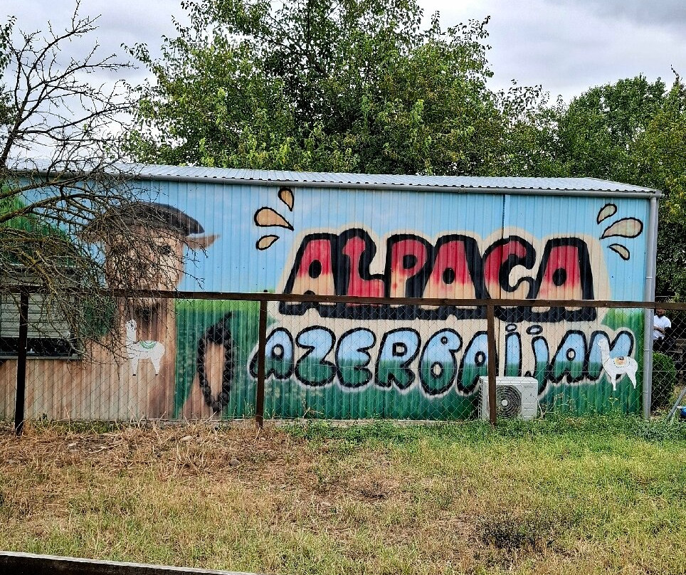 Alpaca Azerbaijan-Meysary必去景点