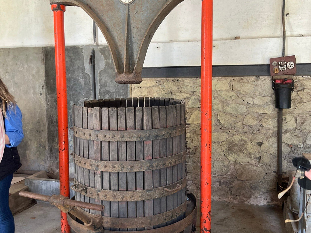 Bodega Spinoglio-蒙得维的亚必去景点