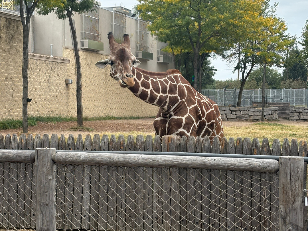 Detroit Zoo-罗亚尔奥克必去景点