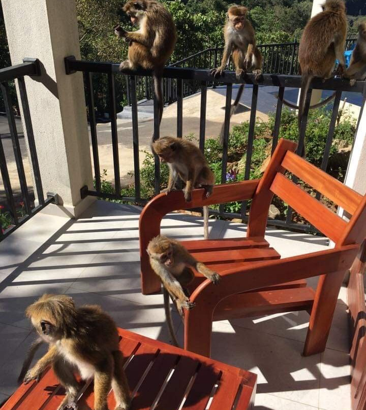 The Grand Hills主图